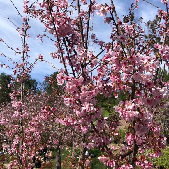 Meet your Posher, Jennifer - Picture 1 of 1